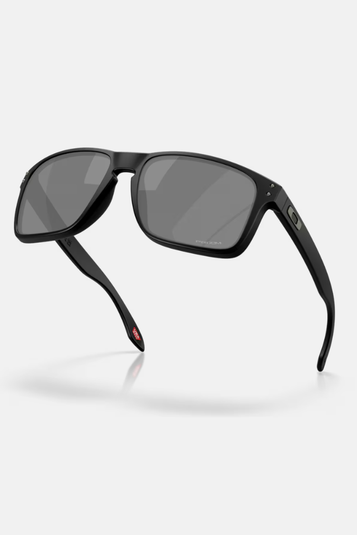 Oakley Holbrook XXL Matte Black / Prizm Black