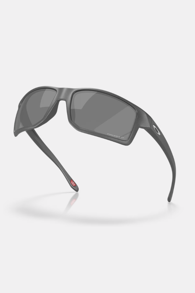 Steel / Prizm Black Polarized