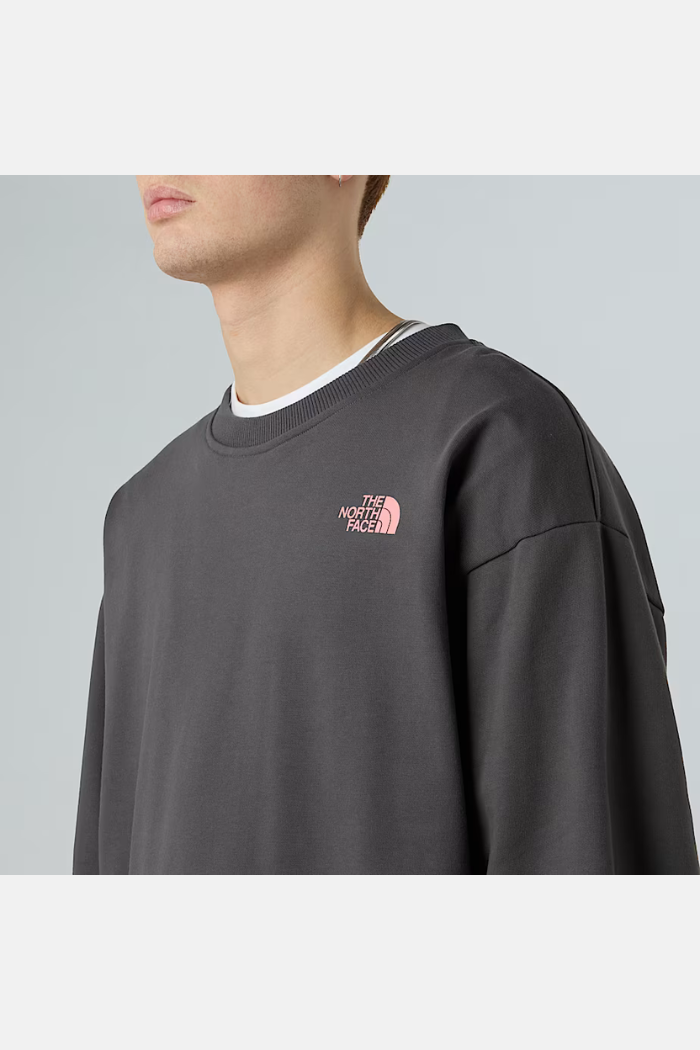 The North Face Expedition Celebration Sudadera Cuello Redondo Anthracite Grey